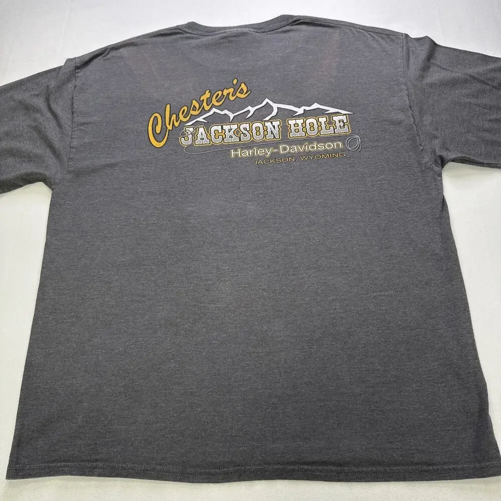Harley-Davidson Motorcycle Chester’s Jackson Hole WY Graphic T-Shirt Gray XL LS